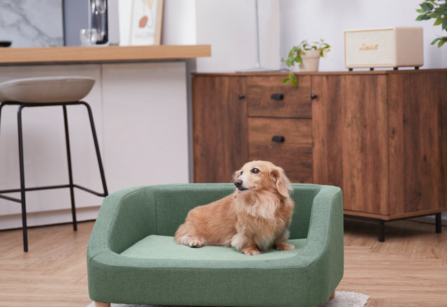 5-Star Dog Beds
